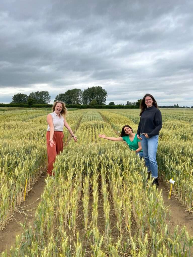 women in wheat field showing growth using fertiliser