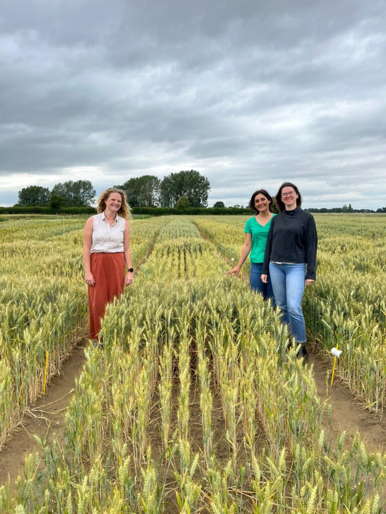 women in wheat field showing growth using fertiliser