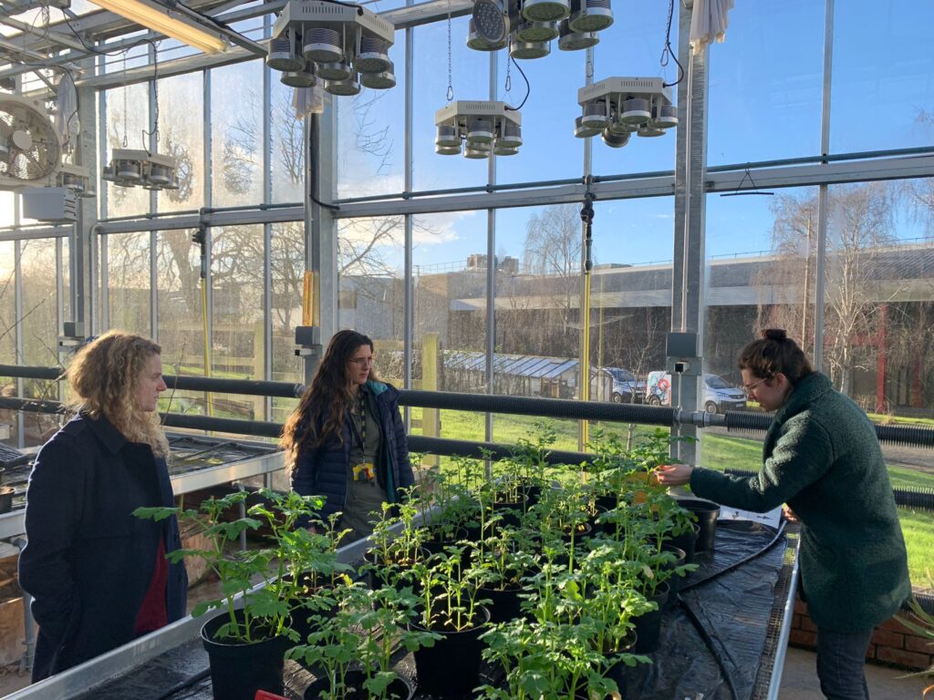 women looking at plant growth from fertiliser